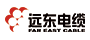 遠東電纜